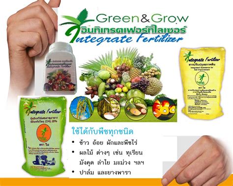 หลักการใช้ปุ๋ยเคมีให้ได้ผลดี... - Integrate Fertilizer