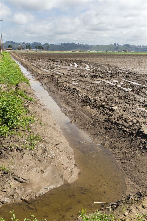 Arroyo Grande Creek will undergo a two-stage sediment removal and levee ...