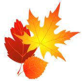 Transparent fall leaves clipart 0 - Cliparting.com