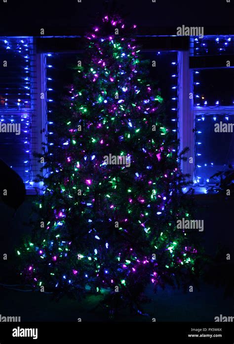 Blue And Purple Christmas Tree