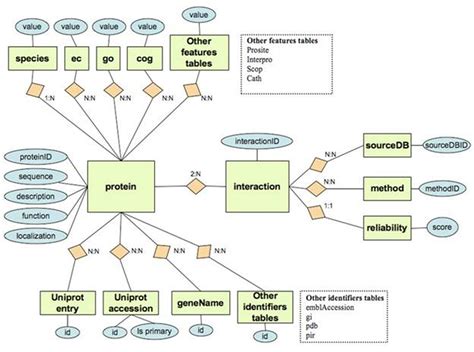 Additional File 1 | Relational database, Database design, Data science