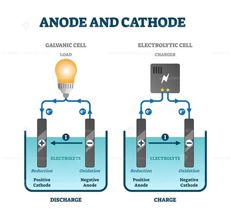 Anode and cathode scientific physics education diagram, vector ...