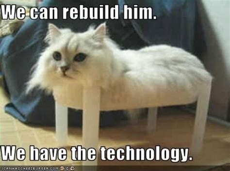 We can rebuild him... | Funny meme pictures, Funny animals, Bones funny