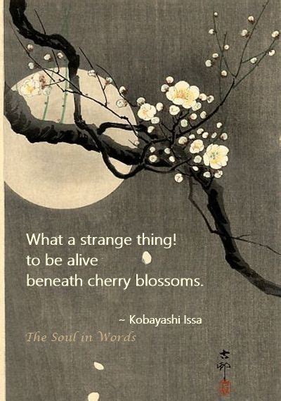 Pin by Birds at Noon on haïku in 2020 | Japanese poetry, Japanese haiku, Haiku poetry