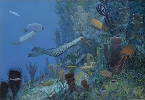 Cambrian Marine | Prehistoric animals, Prehistoric world, Prehistoric art