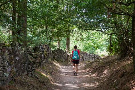 3 Main Stages of El Camino Final 8 Day Hike | BaldHiker