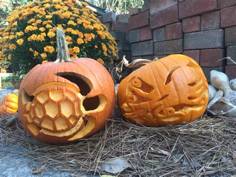 20+ Sea Turtle Pumpkin Carving