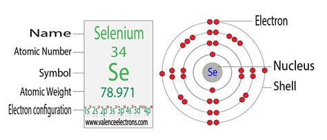 Selenium Atom Model