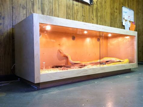 Herp Homes! in 2024 | Snake cages, Diy reptile, Snake enclosure