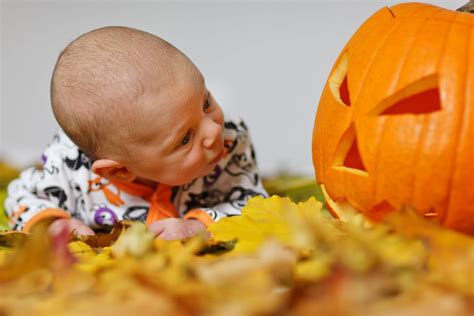 Download Cute Halloween Baby Pumpkin Gaze Wallpaper | Wallpapers.com