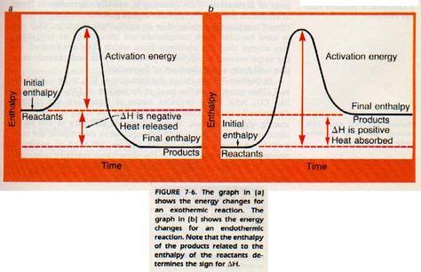 Endothermic Reaction Graph - Derrick-has-Meyer