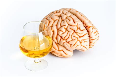 Brain Recovery Timeline From Alcohol Abuse | Zinnia Health