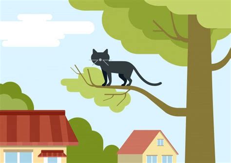 cat stuck in tree cartoon - Cole Archuleta