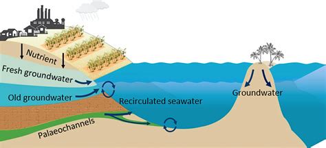 Revealed: hidden chemical threat to GBR