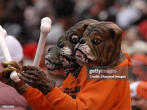 Cleveland Browns Dawg Pound Photos and Premium High Res Pictures ...