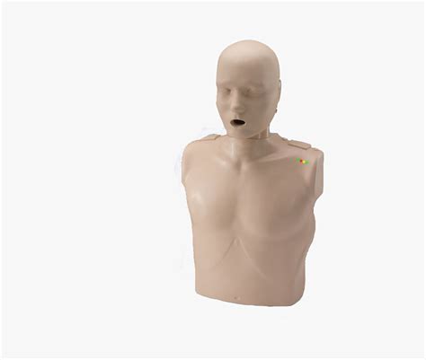 Cpr Dummy, HD Png Download - kindpng