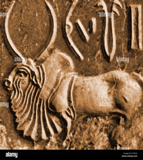 A carved seal featuring a Brahman bull. The same species is held sacred ...