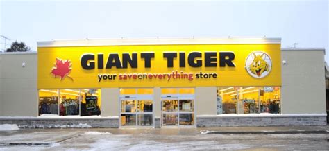 Giant Tiger – Castle Masonry and Landscaping