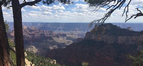 Grand Canyon National Park Updating Fleet of Shuttle Buses - AirGuide.info :: AirGuide Business ...