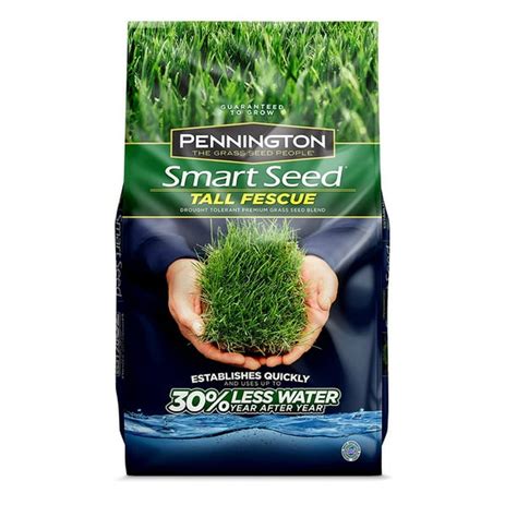 3 lb. Smart Seed Tall Fescue Grass Seed - Walmart.com - Walmart.com