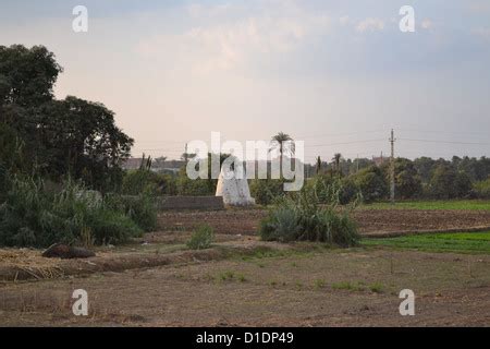 Agriculture Nile delta Egypt Stock Photo: 3478124 - Alamy