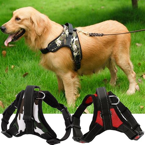 Pet Collars And Harnesses | medboatsharing.com