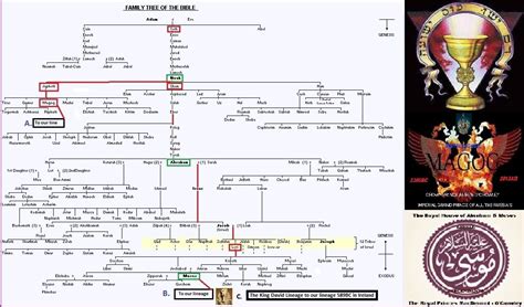 Our Biblical family tree since Adam and Eve! | Bible family tree, Secrets of the bible, Family ...