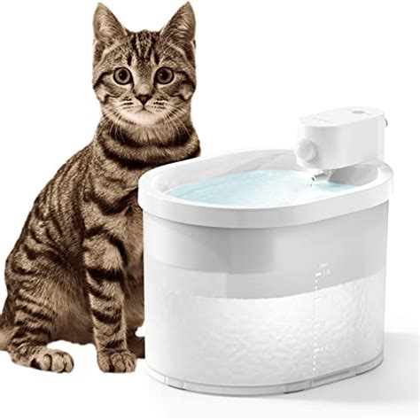 Five Of The Best Cordless Cat Water Fountains