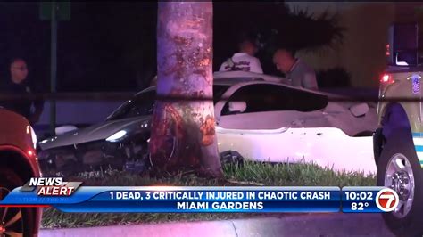 Miami Gardens Car Accident | Fasci Garden