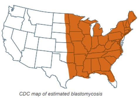 Blastomycosis In Veterinary Medicine: A Review