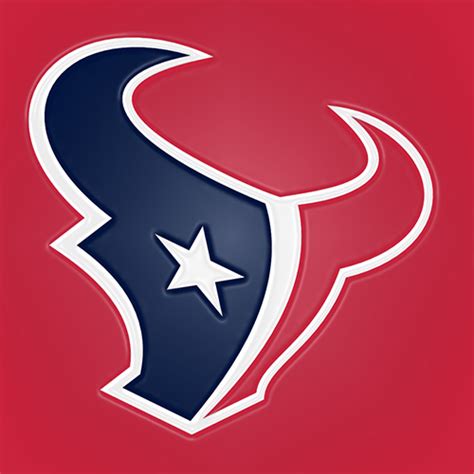 Houston’s Professional Teams – Houston Sports Central