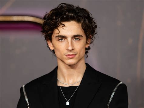 Timothée Chalamet: Quem é o ator que interpretará "Wonka" | Diário da Manhã