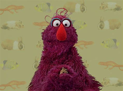 Elmo's World: Pets | Muppet Wiki | Fandom powered by Wikia