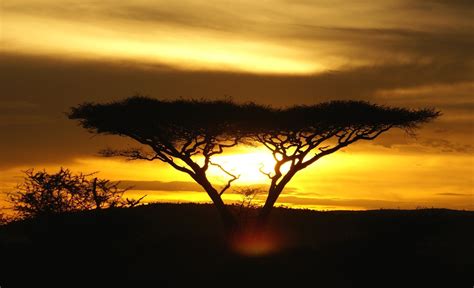 sunset over Serengeti 1 Free Photo Download | FreeImages