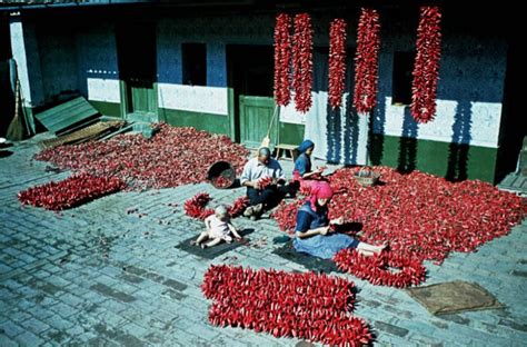 Hungarian Paprika - Hungarian Folk