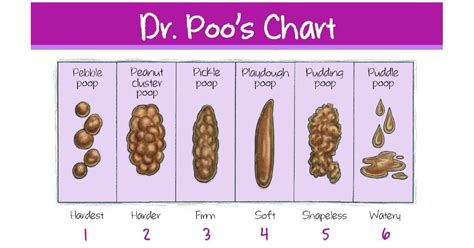 Color of your poop chart: Stool Color Changes and Chart: What Does It Mean?