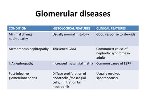 PPT - Glomerular Diseases PowerPoint Presentation, free download - ID ...