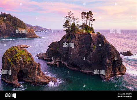 Cliff coast in Samuel H Boardman State Park, Oregon, USA Stock Photo: 63673638 - Alamy