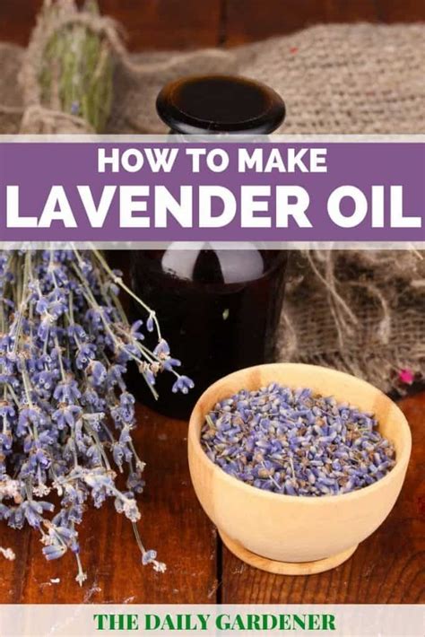 How to Make Lavender Oil? (2 Methods) | Lavender oil recipes, Homemade essential oils, Lavender ...