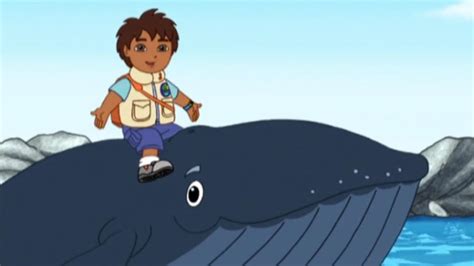 Go Diego Go Diego Saves Humpback Whale