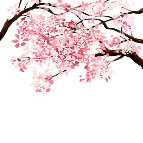 Cherry Blossom Spring Cherry Blossom Petals Branch, Cherry Blossoms, Spring, Petal PNG ...