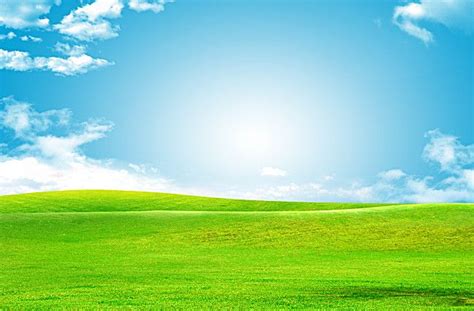 Blue Sky Green Grass Background