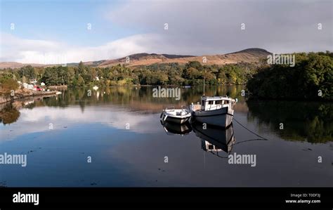 Picture of Glengarriff Harbour ,a part of a bigger Bantry Bay in Co ...