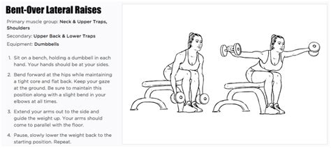 Bent-Over Lateral Raise Exercise For Upper Back