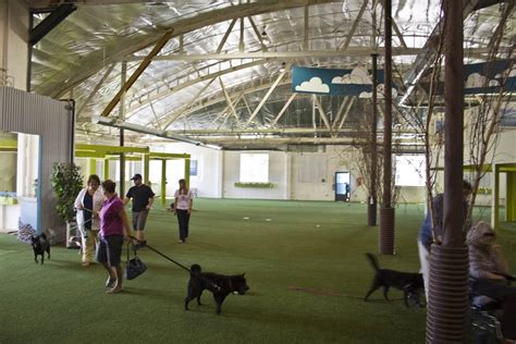 Fido's Indoor Dog Park in Southeast Portland definitely a big deal | OregonLive.com