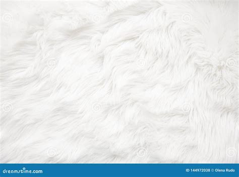 White Fur Texture Stock Photos - Download 17,395 Royalty Free Photos