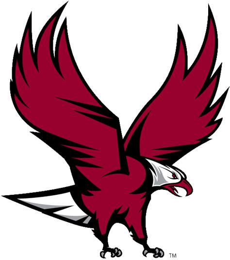 North Carolina Central Eagles | Sports logo design, Eagles, Ballooning