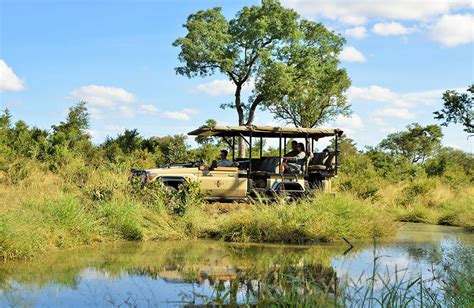 Imbali Safari Lodge at Mluwati Game Reserve - Safaris Down South