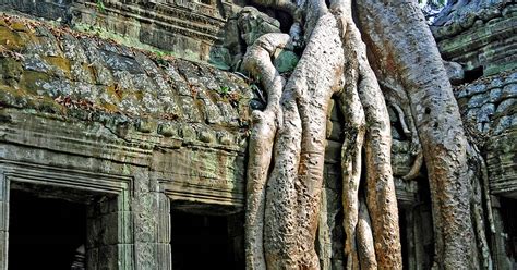 Ta Prohm Temple Guide - The Tomb Raider Temple - Just Siem Reap