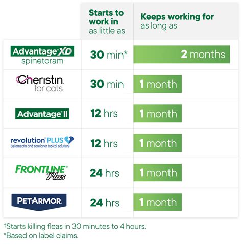 Advantage® XD for Cats: Two Month flea treatment | Elanco